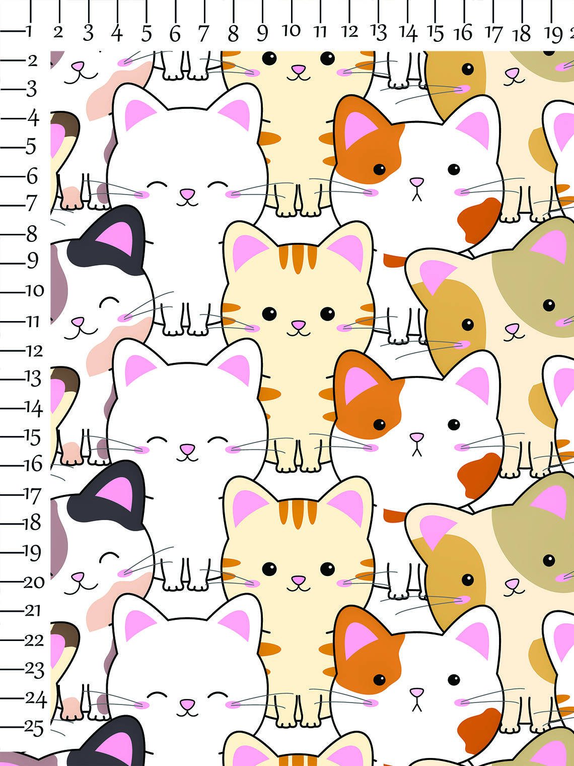 cute cat].jpg